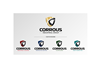 Corrous Industrial Group - canva