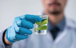 Ricardo report cover