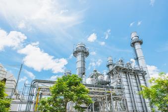 Positon statement images  (8)