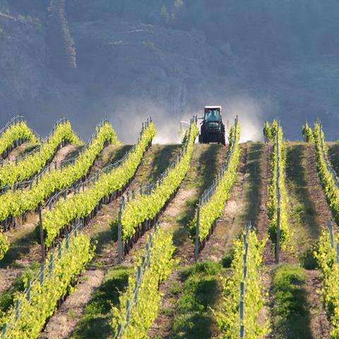 Vineyard_Tractor_Okanagan