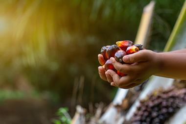 AdobeStock_409630369 (2)