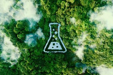 AdobeStock_457290538 (1)