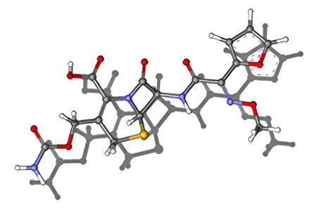 GSK image